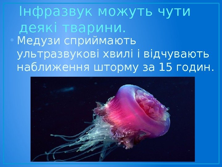 Інфразвук можуть чути деякі тварини.  • Медузи сприймають ультразвукові хвилі і відчувають наближення