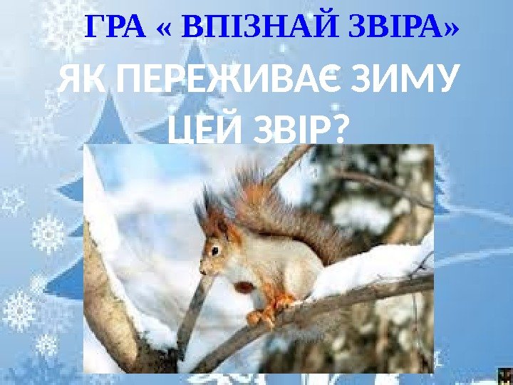 ГРА « ВПІЗНАЙ ЗВІРА» ЯК ПЕРЕЖИВАЄ ЗИМУ ЦЕЙ ЗВІР? 