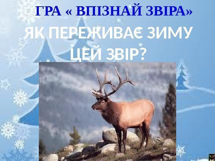 ГРА « ВПІЗНАЙ ЗВІРА» ЯК ПЕРЕЖИВАЄ ЗИМУ ЦЕЙ ЗВІР? 