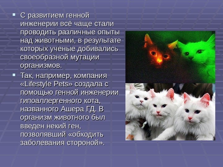  С развитием генной инженерии всё чаще стали проводить различные опыты над животными, в