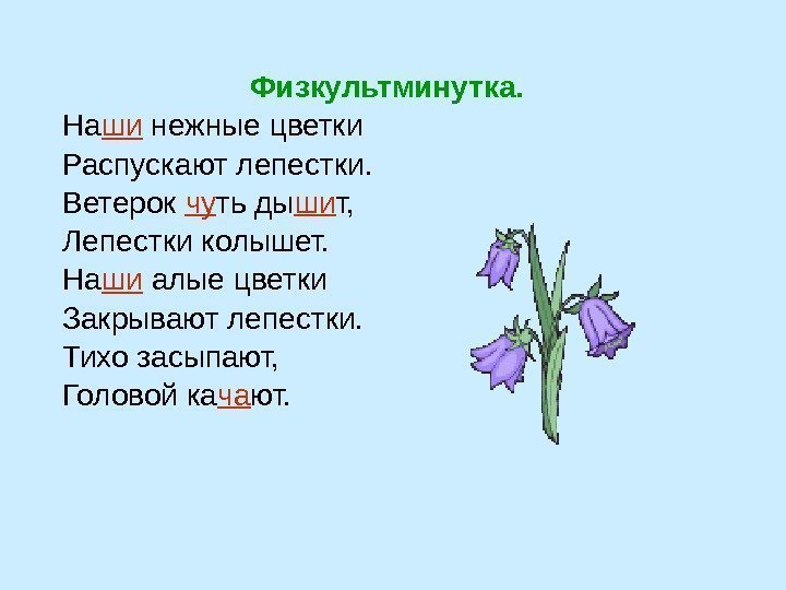     Физкультминутка.  На ши нежные цветки  Распускают лепестки. 