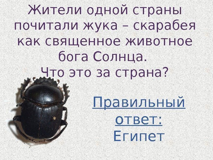 Жители одной страны почитали жука – скарабея как священное животное бога Солнца.  Что