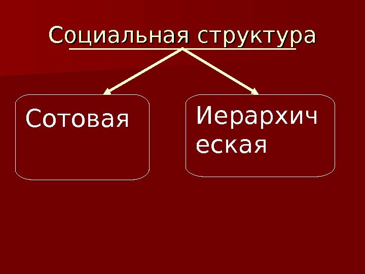 Социальная структура Сотовая Иерархич еская 