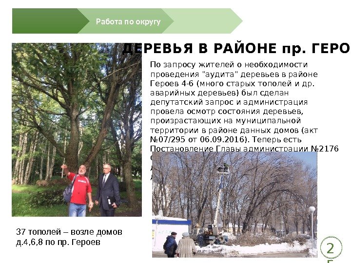 По запросу жителей о необходимости проведения аудита деревьев в районе Героев 4 -6 (много