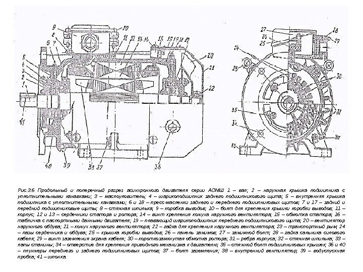 Рис. 3. 6 Продольный и поперечный разрез асинхронного двигателя серии АОМШ 1 – вал;