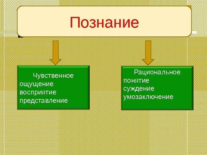 Познание Чувственное ощущение восприятие представление Рациональное понятие суждение умозаключение 