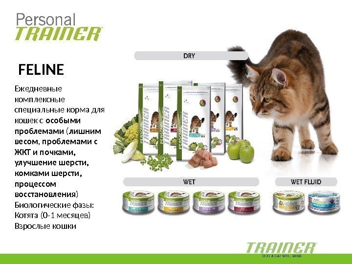 Personal. Ежедневные комплексные специальные корма для кошек с особыми проблемами ( лишним весом ,