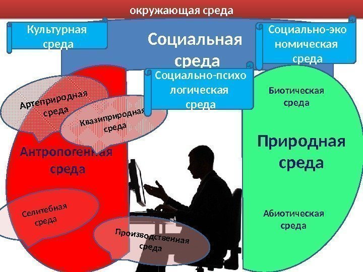 окружающая среда Социальная среда Природная среда. Биотическая среда Абиотическая среда. Антропогенная среда. Артеприродная среда