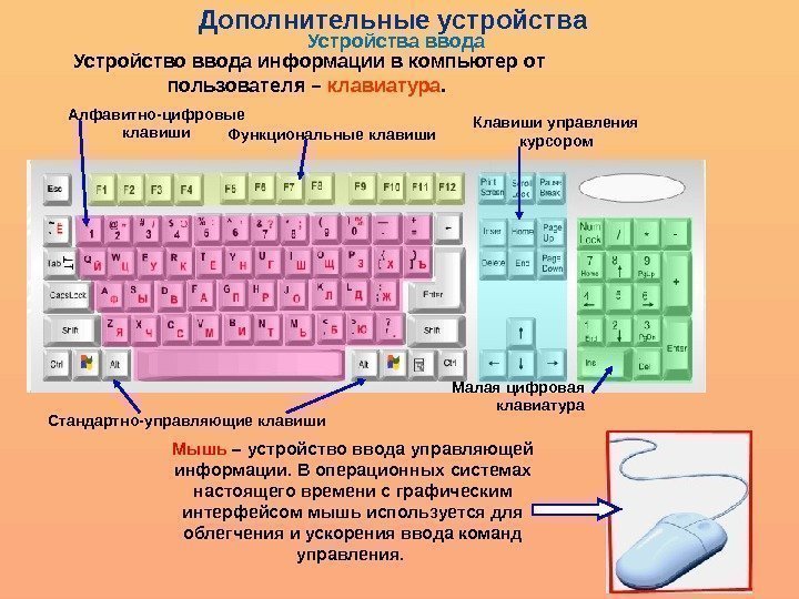 Устройство ввода информации в компьютер от пользователя – клавиатура.  Функциональные клавиши. Алфавитно-цифровые клавиши