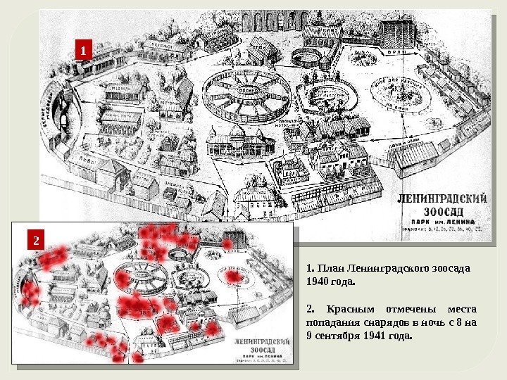 1. План Ленинградского зоосада 1940 года.  2.  Красным отмечены места попадания снарядов