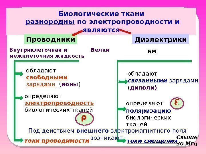 Биологические ткани  разнородны по электропроводности и являются Белки. Проводники Диэлектрики обладают свободными 