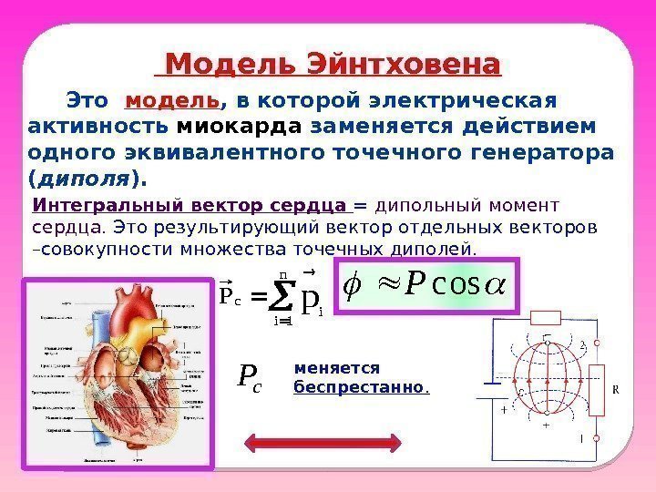  Модель Эйнтховена  Это  модель , в которой электрическая активность миокарда заменяется