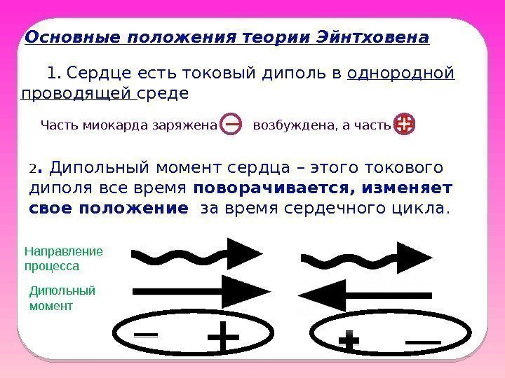  Основные положения теории Эйнтховена  1.  Сердце есть токовый диполь в однородной