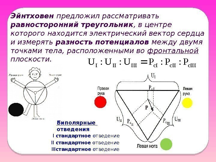 Эйнтховен предложил рассматривать равносторонний треугольник , в центре которого находится электрический вектор сердца и