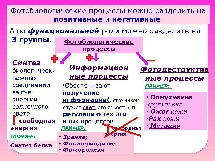  А по функциональной роли можно разделить на  3 группы. Фотобиологические процессы можно