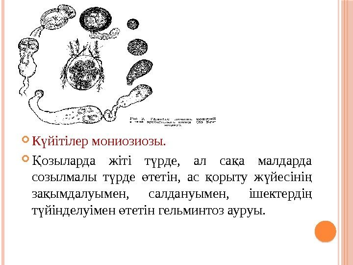  К йітілер мониозиозы. ү озыларда жіті т рде,  ал са а малдарда