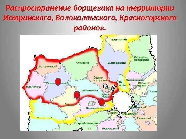 Распространение борщевика на территории Истринского, Волоколамского, Красногорского районов. 