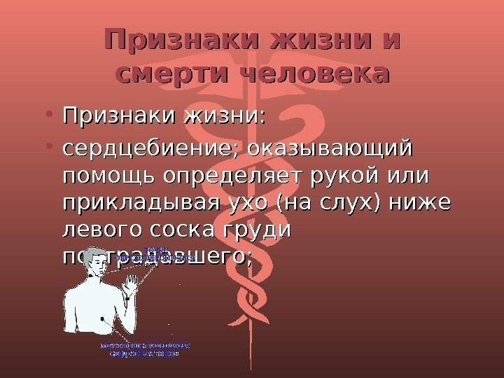 Признаки жизни и смерти человека • Признаки жизни:  • сердцебиение; оказывающий помощь определяет