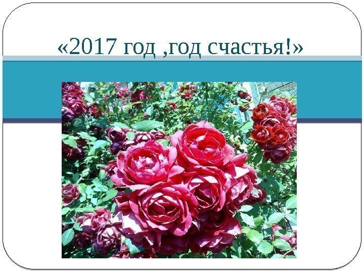  « 2017 год , год счастья!»  