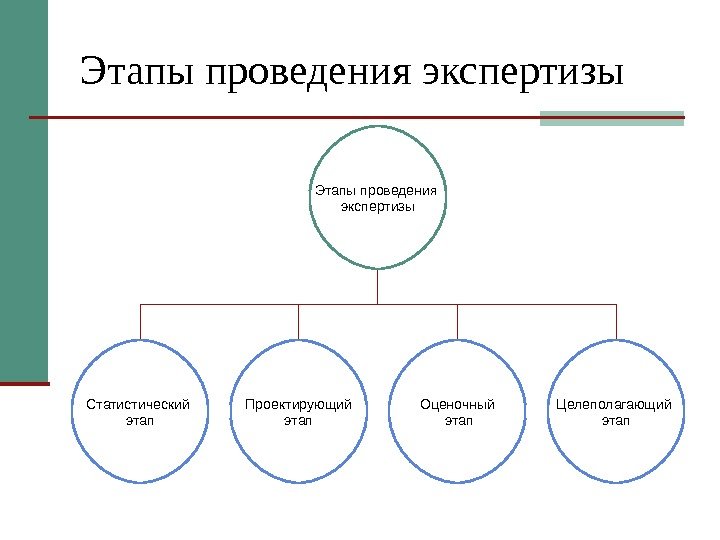 Этапы проведения экспертизы Статистический этап Проектирующий этап Оценочный  этап Целеполагающий этап 