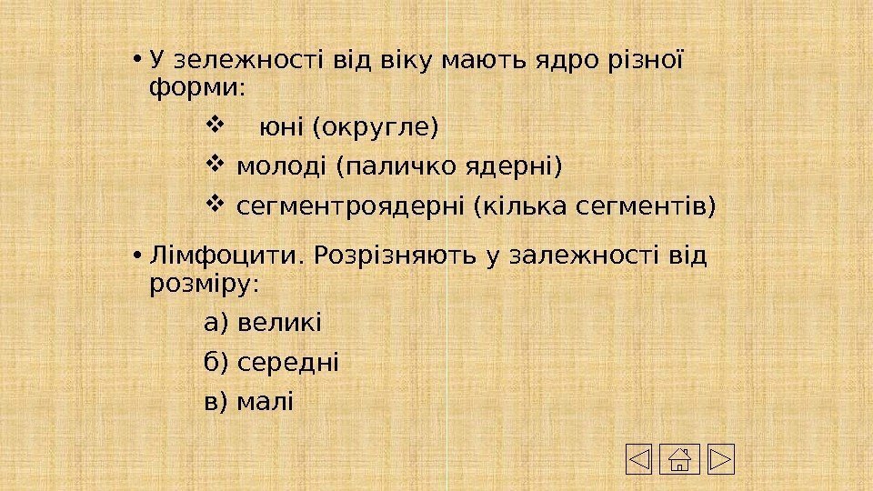  • У зележності від віку мають ядро різної форми:  юні (округле) молоді