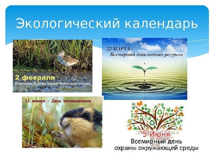 Экологический календарь  