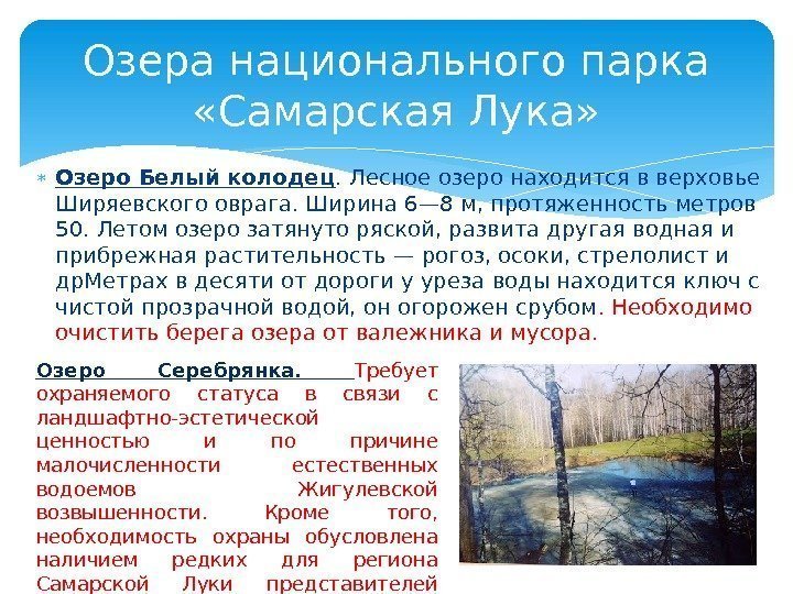  Озеро Белый колодец. Лесное озеро находится в верховье Ширяевского оврага. Ширина 6— 8