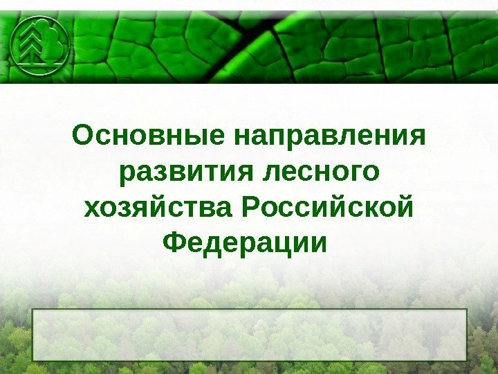 Основные направления развития лесного хозяйства Российской Федерации 