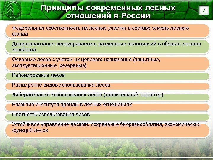 Принципы современных лесных отношений в России Федеральная собственность на лесные участки в составе земель