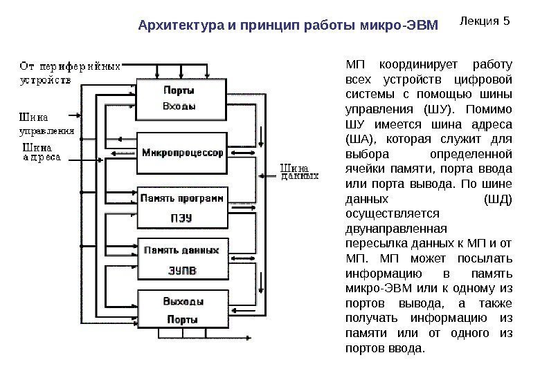 Лекция 5 Архитектура и принцип работы микро-ЭВМ  МП координирует работу всех устройств цифровой