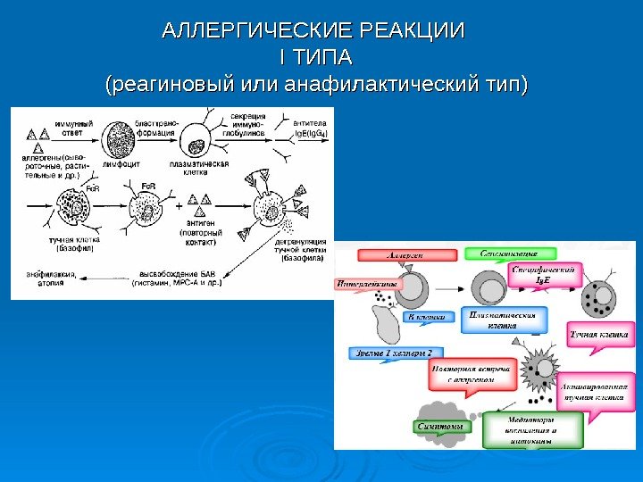 АЛЛЕРГИЧЕСКИЕ РЕАКЦИИ I ТИПА (реагиновый или анафилактический тип) 