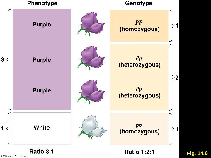 Fig. 14. 6 