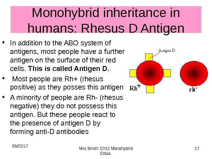 Monohybrid inheritance in humans: Rhesus D Antigen • In addition to the ABO system