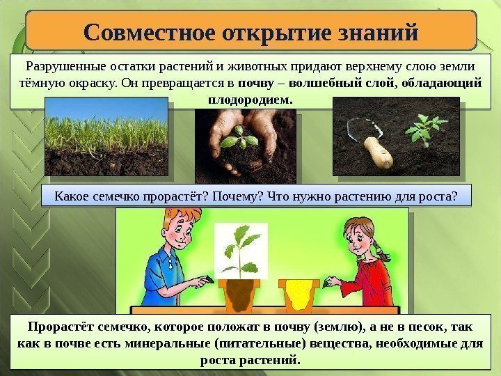 Совместное открытие знаний Разрушенные остатки растений и животных придают верхнему слою земли тёмную окраску.