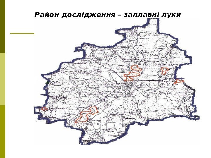 Район дослідження – заплавні луки 