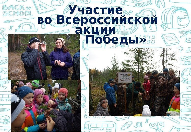 Участие во Всероссийской акции  «Лес Победы» 