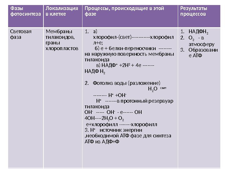 Фазы фотосинтеза Локализация в клетке Процессы, происходящие в этой фазе Результаты процессов Световая фаза