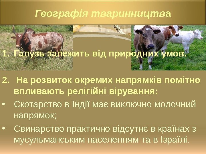 Географія тваринництв а 1. Галузь залежить від природних умов. 2.  На розвиток окремих