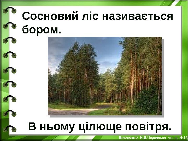 Сосновий ліс називається бором.  В ньому цілюще повітря.  Білоножко Н. Д. Черкаська