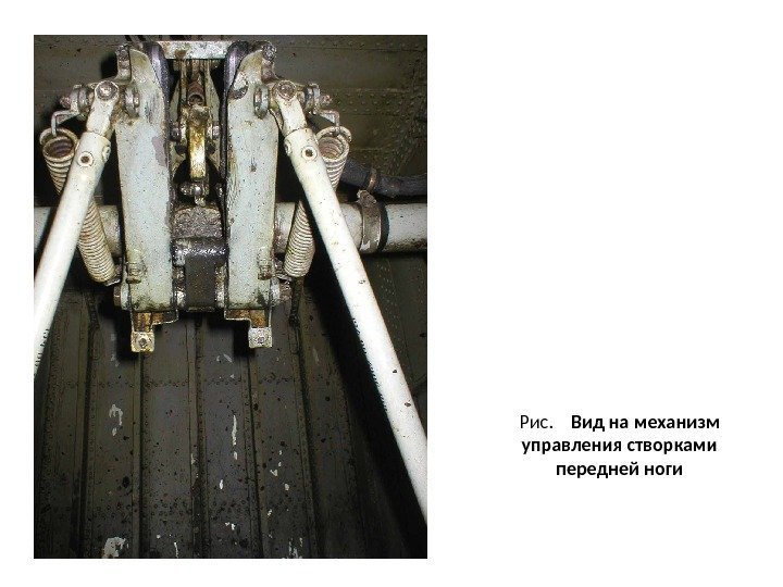 Рис. Вид на механизм управления створками передней ноги 