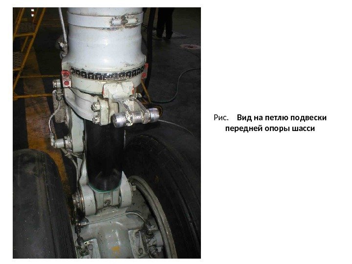Рис. Вид на петлю подвески передней опоры шасси 