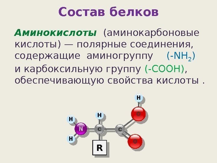 Состав белков Аминокислоты  (аминокарбоновые кислоты) — полярные соединения,  содержащие аминогруппу (-NH 2