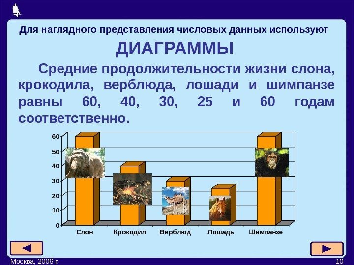 Москва, 2006 г. 10 ДИАГРАММЫ  Средние продолжительности жизни слона,  крокодила,  верблюда,