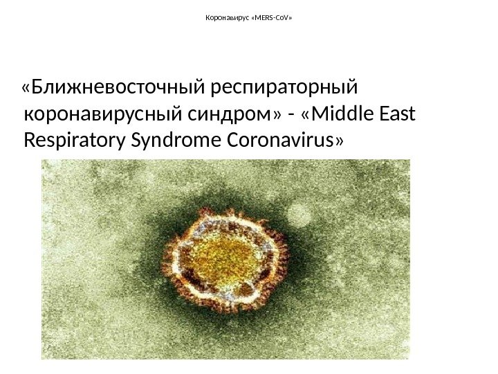 Коронавирус «MERS-Co. V»  «Ближневосточный респираторный коронавирусный синдром» - «Middle East Respiratory Syndrome Coronavirus»