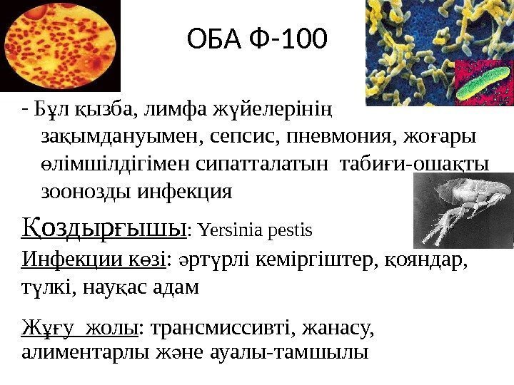 ОБА Ф-100 - Б л ызба, лимфа ж йелеріні  ұ қ ү ң