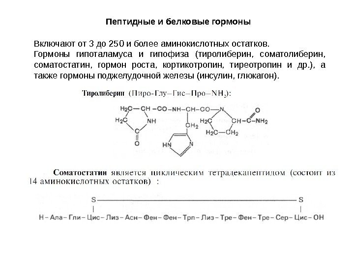 Пептидные и белковые гормоны Включают от 3 до 250 и более аминокислотных остатков. 