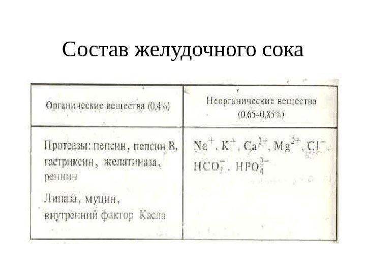 Состав желудочного сока 