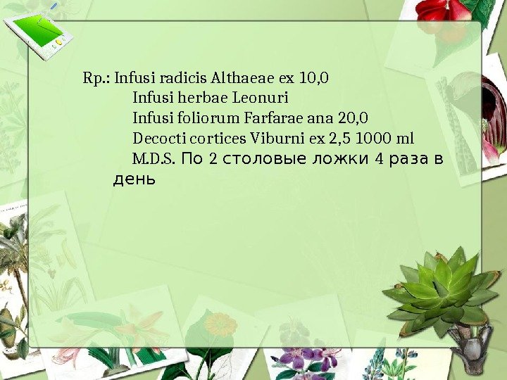 Rp. : Infusi radicis Althaeae ex 10, 0 Infusi herbae Leonuri Infusi foliorum Farfarae