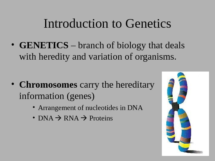 Introduction to Genetics • GENETICS – branch of biology that deals with heredity and