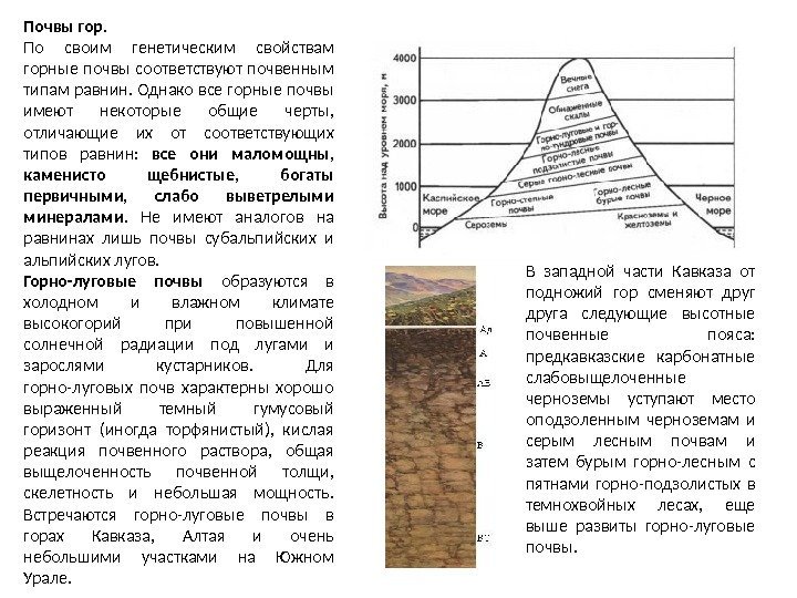 Почвы гор.  По своим генетическим свойствам горные почвы соответствуют почвенным типам равнин. Однако